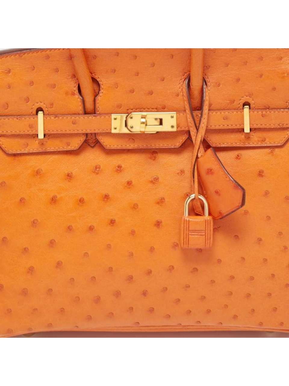 Сумка Hermes Birkin 25 из кожи страуса